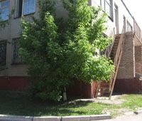 Дитячий садок №405 Посмішка – фото території садочка