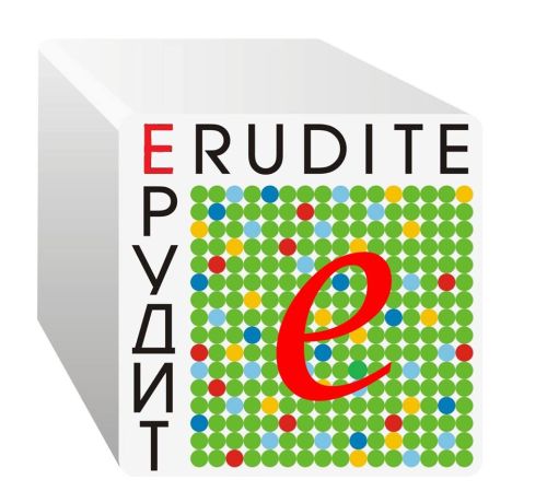 Эрудит – фото территории детского сада