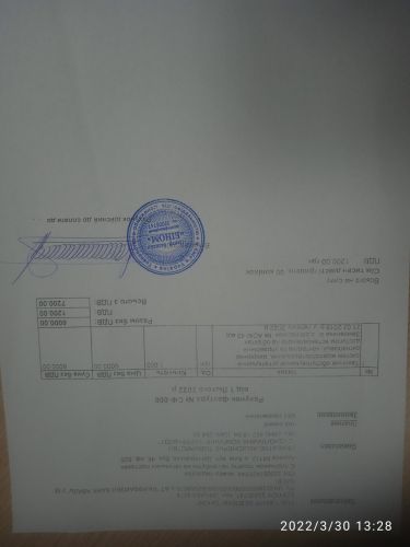 Местечко – фото территории детского сада