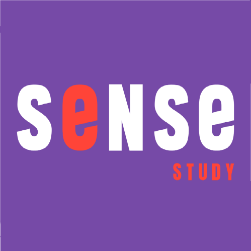 SENSE KIDS – вигляд закладу дошкільної освіти