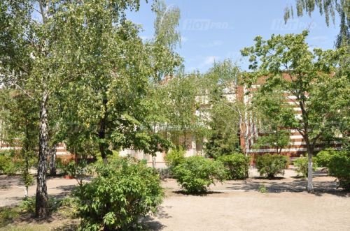 Детский сад школа Киевские каштаны – дошкольное учреждение внутри и снаружи