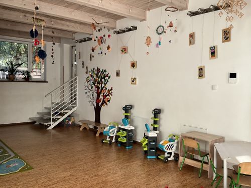 Домашний садик «Золотой мостик» – главный вход и вид внутри