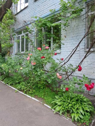 Дитячий садок №416 – дошкільний заклад всередині та ззовні