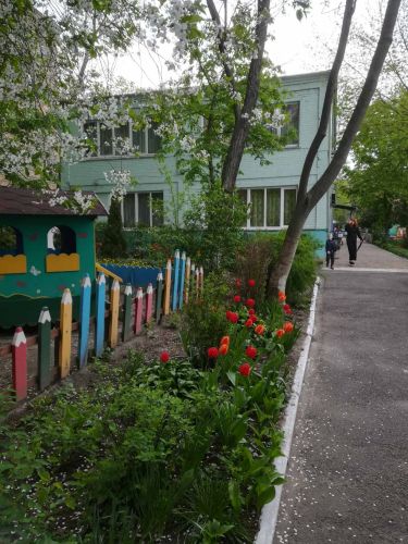 Детский сад №61 Первоцвет – дошкольное учреждение внутри и снаружи