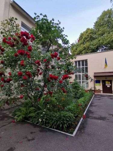 Детский сад №144 – фото территории детского сада