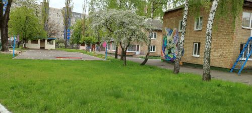 Детский сад №203 – фото территории детского сада