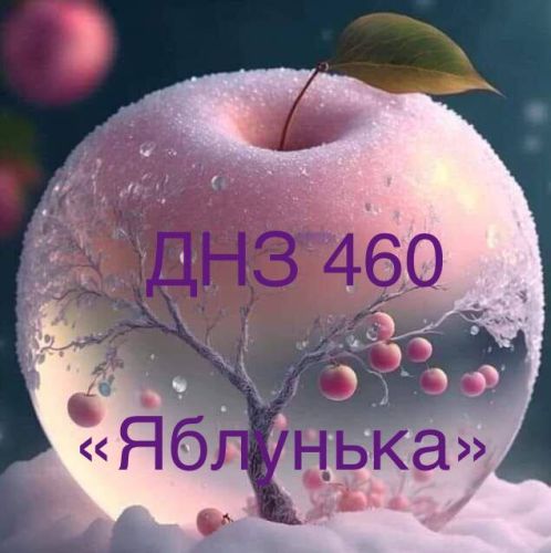 Детский сад №460 – фото территории детского сада