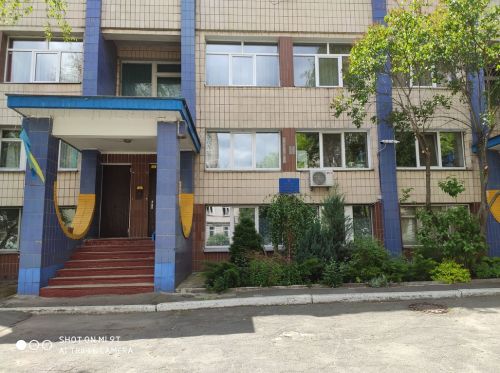 Детский сад №311 – вид дошкольного учреждения