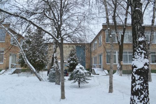 Детский сад №388 – вид дошкольного учреждения