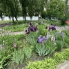 Детский сад №643 – изображение/превью садика
