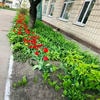 Дитячий садок №767 – зображення/прев'ю садочку