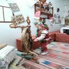 Детский сад №160 – изображение/превью садика