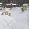 Детский сад №432 – изображение/превью садика