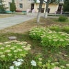Дитячий садок №746 – зображення/прев'ю садочку