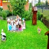 Дитячий садок №791 – зображення/прев'ю садочку