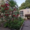 Детский сад №144 – изображение/превью садика