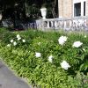 Детский сад №59 – изображение/превью садика