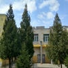 Детский сад №599 – изображение/превью садика