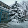 Детский сад №104 – изображение/превью садика