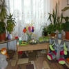 Дитячий садок №198 – зображення/прев'ю садочку