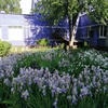 Детский сад №603 – изображение/превью садика