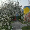 Дитячий садок №607 – зображення/прев'ю садочку